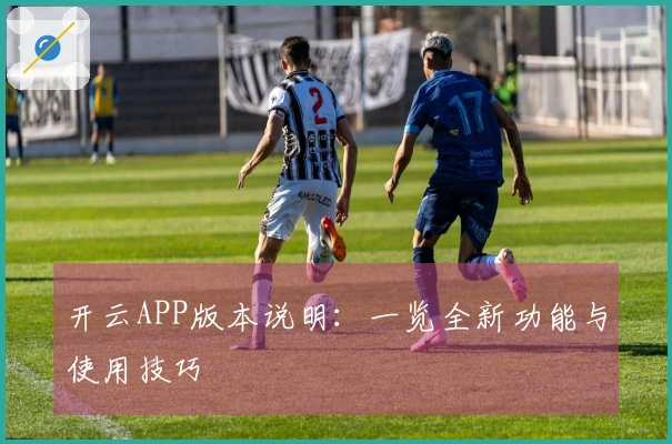 开云APP版本说明：一览全新功能与使用技巧